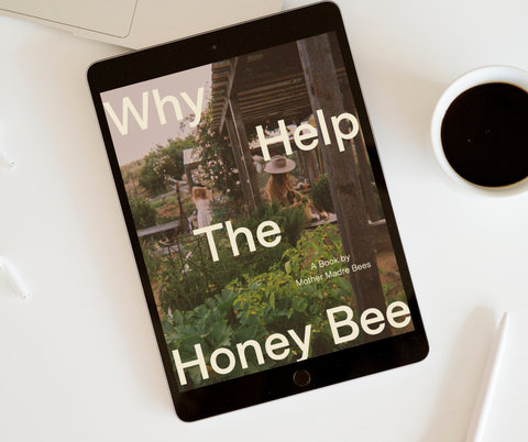 Why Help the Honey Bee?